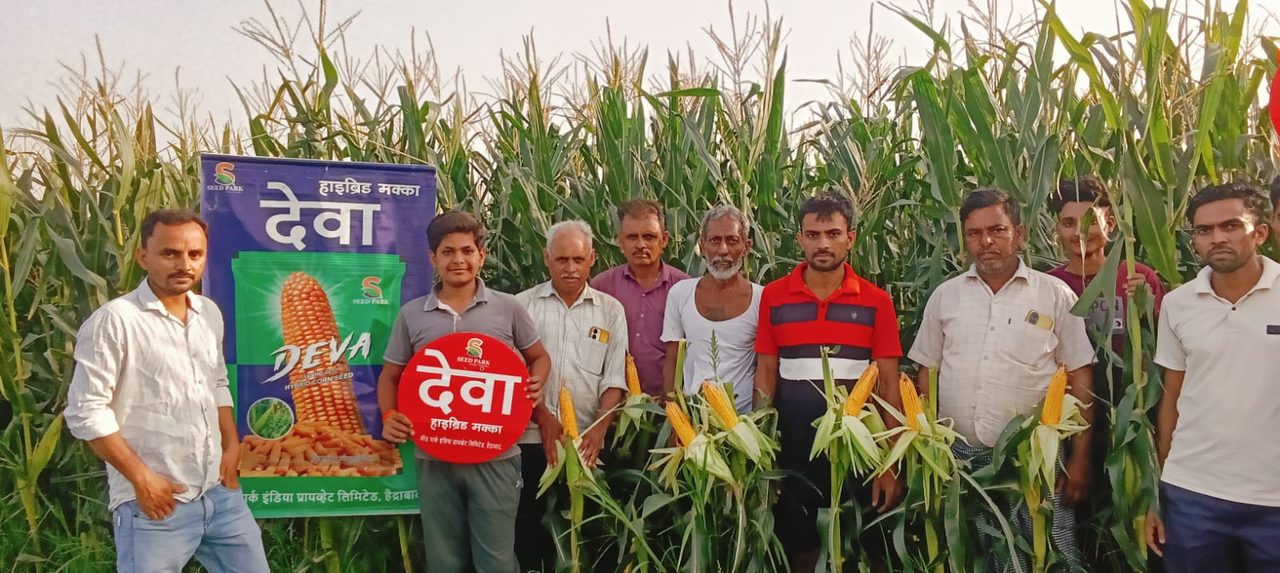 DEVA Hybrid Maize with farmers
