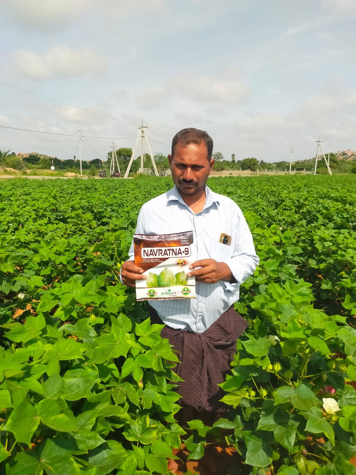 NAVRATNA-9 Hybrid Cotton with farmers