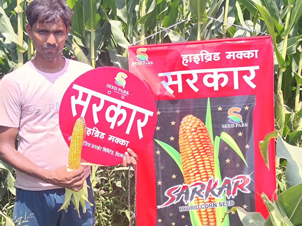 SARKAR Hybrid Maize with farmers