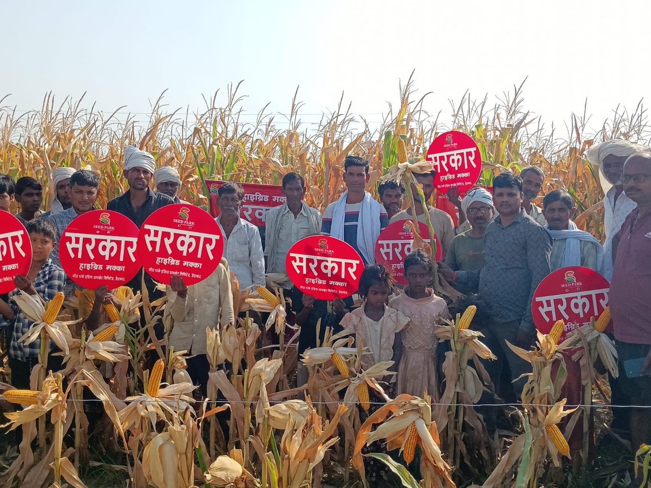 SARKAR Hybrid Maize with farmers
