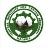 CICR Nagpur logo