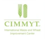 CIMMYT logo