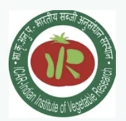 IIVR New Delhi logo
