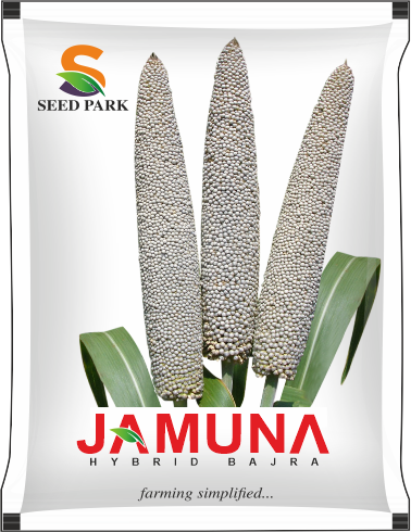 JAMUNA seed pack