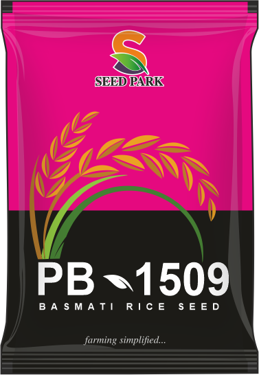 PB 1509 seed pack